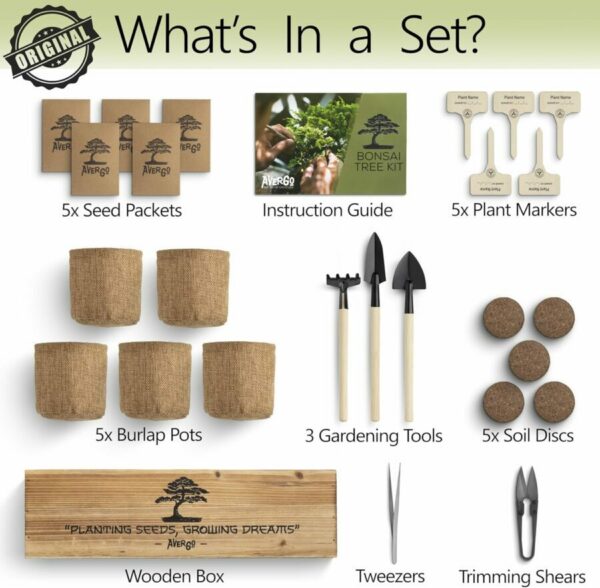 Bonsai tree kit featuring seed packets, tools, burlap pots, soil discs, and wooden box with 'Planting Seeds, Growing Dreams' label