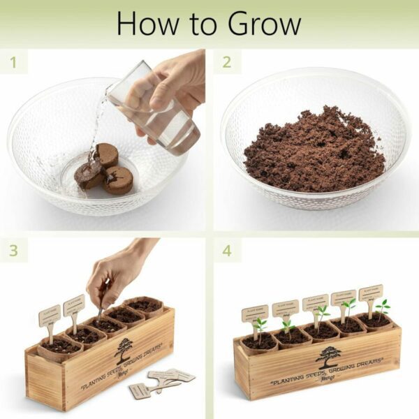 Step-by-step guide showing soil hydration, expanding soil, planting, and sprouting in labeled pots for home gardening.