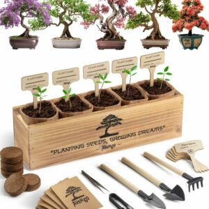 Bonsai tree starter kit featuring colorful bonsai examples, wooden planter box, gardening tools, soil pellets, and seed packets by AVERGO