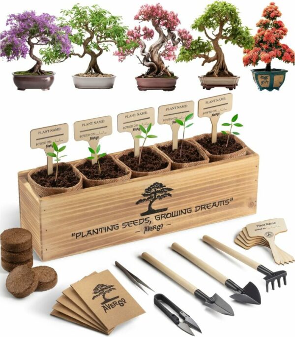 Bonsai tree starter kit featuring colorful bonsai examples, wooden planter box, gardening tools, soil pellets, and seed packets by AVERGO